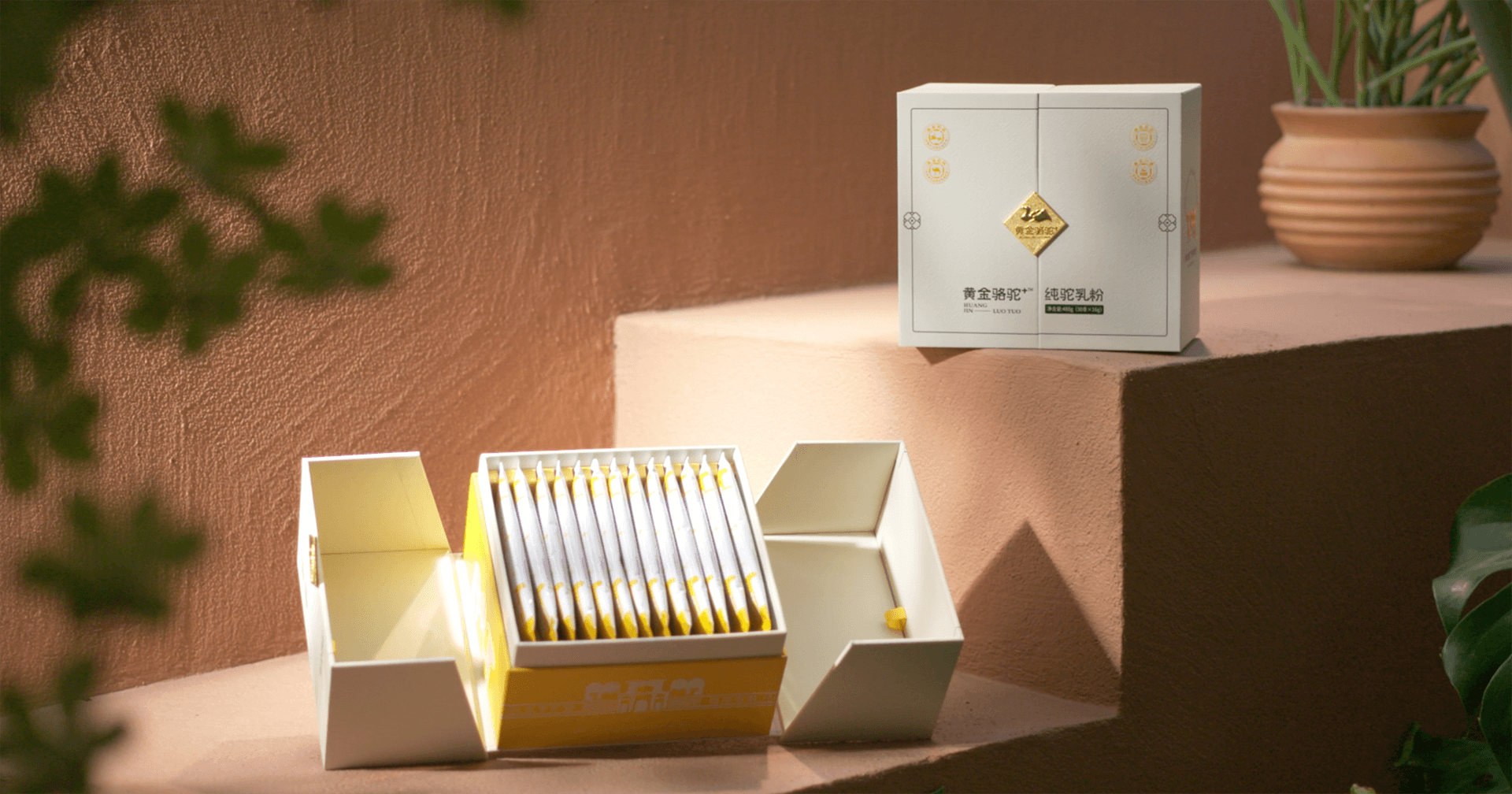 定位小众高端乳粉，ok138cn太阳集团古天乐推出驼奶品牌“黄金骆驼+”，角逐乳品新市场！